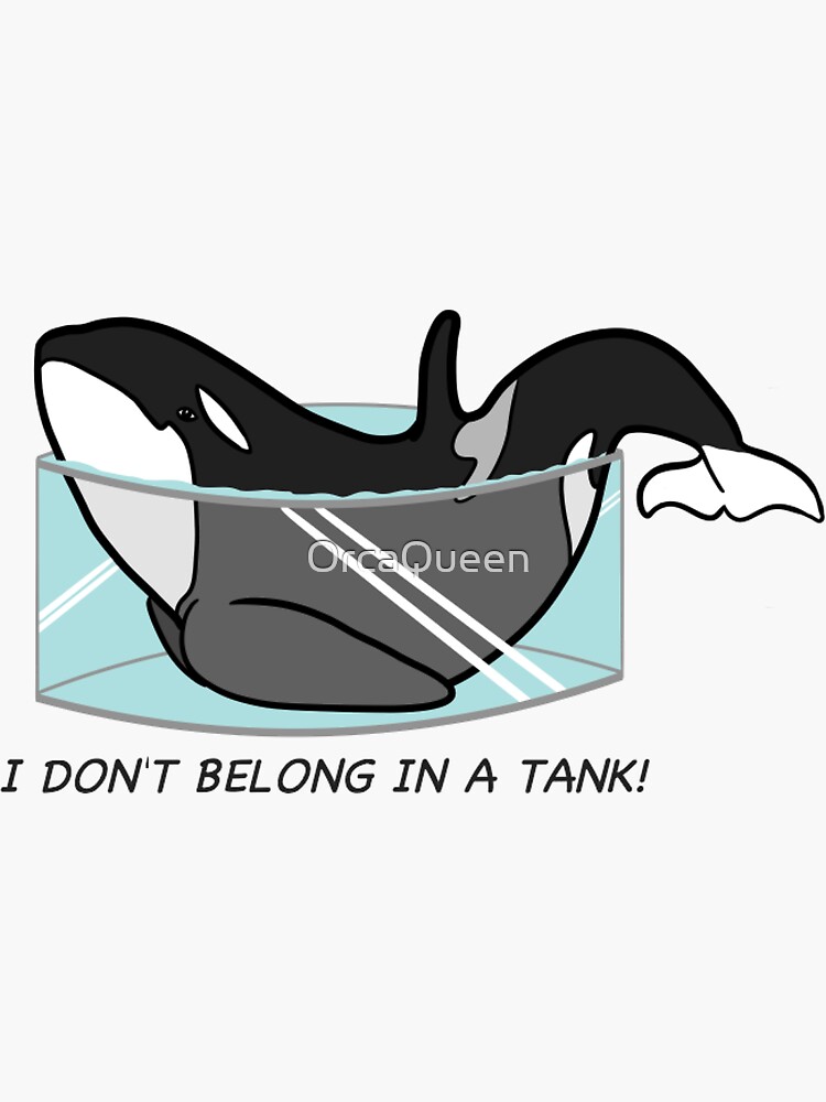 Thumbnail 3 von 3, Sticker, Ich gehöre nicht in einen Panzer! designt und verkauft von OrcaQueen.