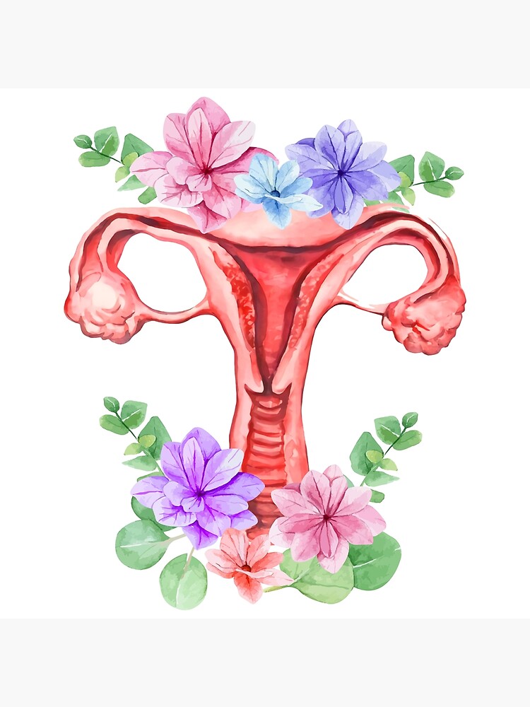 Anatomical Floral Uterus Art Poster For Sale By Redbubbleart18 Redbubble 8098