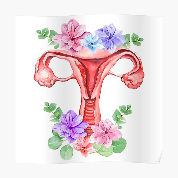 Anatomical Floral Uterus Art Poster For Sale By Redbubbleart18 Redbubble 5936