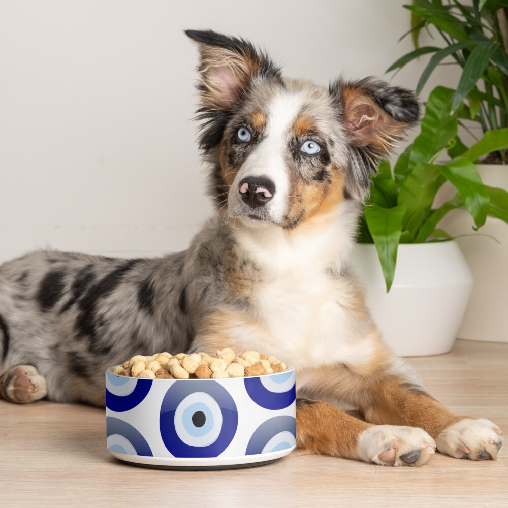 Item preview, Pet Bowl designed and sold by BluePlanet.