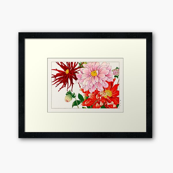Item preview, Vintage print - Dahlias designed and sold by VeroBDesign.