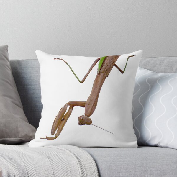 Item preview, Praying Mantis designed and sold by James Kappernaros.