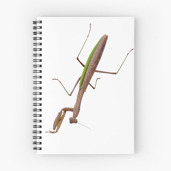 Item preview, Praying Mantis designed and sold by James Kappernaros.