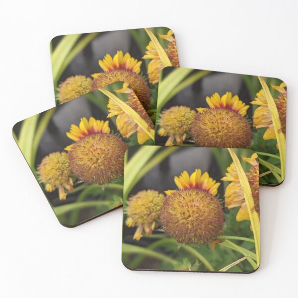 Item preview, Yellow Flower Losing Petals designed and sold by AustaArt.