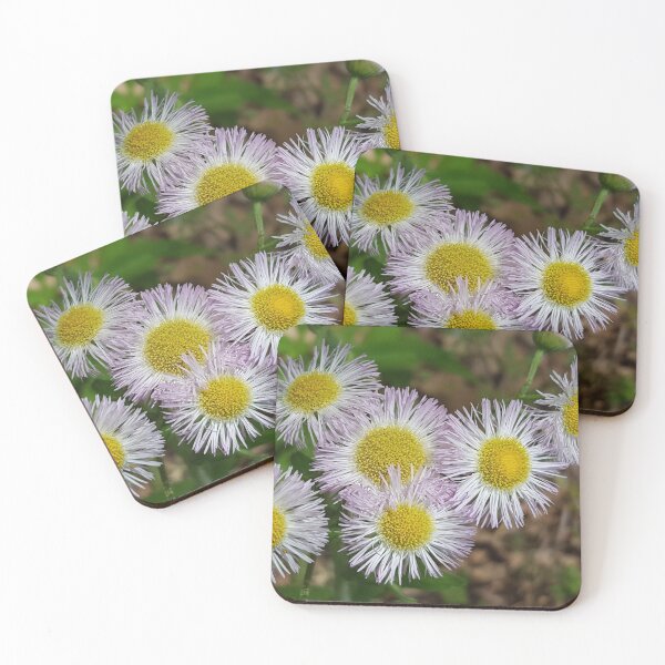 Item preview, Wildflowers  designed and sold by LSDeVineyPhotos.