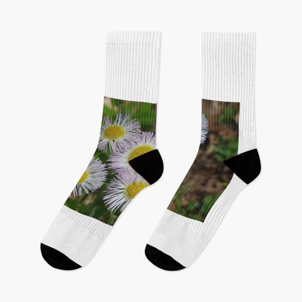 Item preview, Wildflowers  designed and sold by LSDeVineyPhotos.