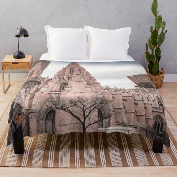 Item preview, St. Patrick's Cathedral in New York designed and sold by lets-travel.