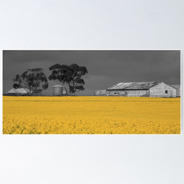 Item preview, Canola Farm designed and sold by Andrew Willesee.