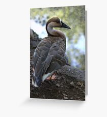 Goose of Central Park Zoo Greeting Card