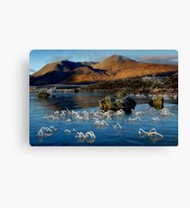 Frosted grasses 2 - Lochan na h-Achlaise Canvas Print