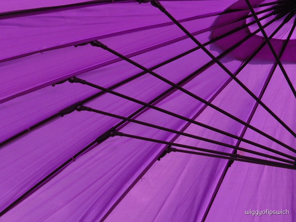 “Lavender Umbrella” by wiggyofipswich | Redbubble