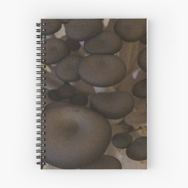 Item preview, Blue Gray Oyster Mushrooms designed and sold by CJRPics.