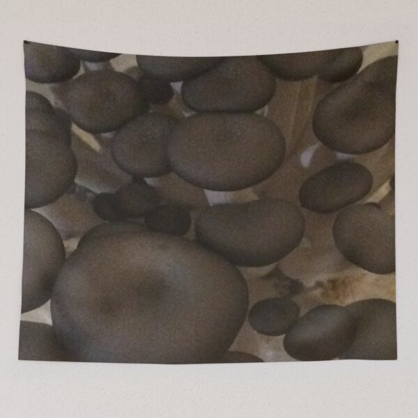 Item preview, Blue Gray Oyster Mushrooms designed and sold by CJRPics.