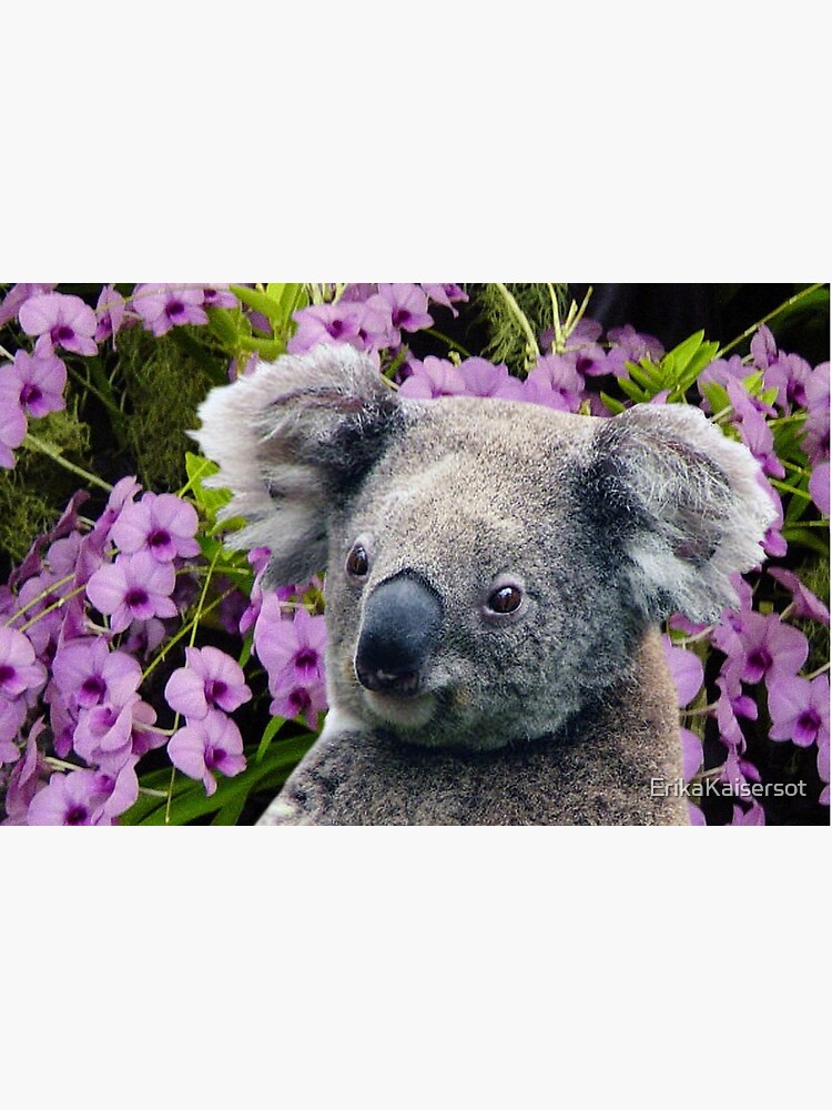 animales encantadores Australia de ErikaKaisersot