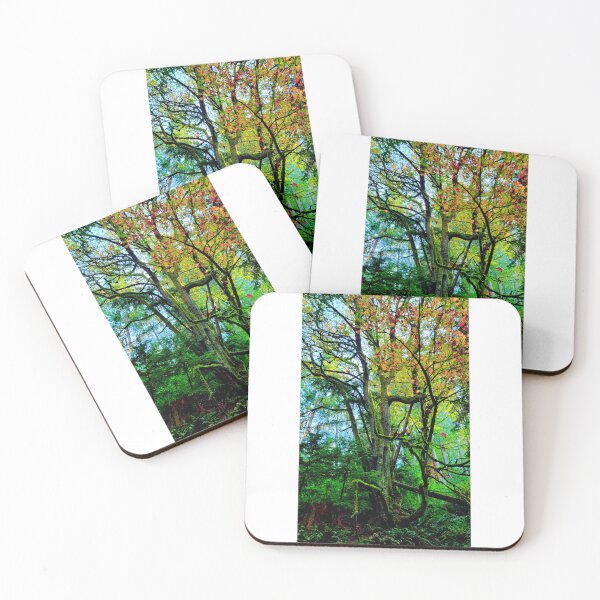 Item preview, Forest designed and sold by ZayRenaAlesta.