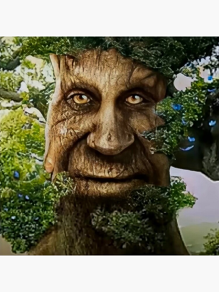 Wise Mystical Tree Face Old Mythical Oak Tree Funny Meme Poster