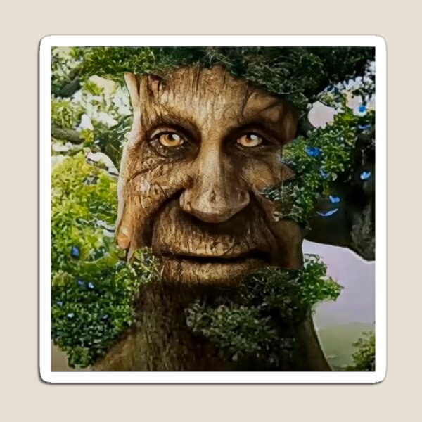 Wise Mystical Tree Face Old Mythical Oak Tree Funny Meme Crop Top