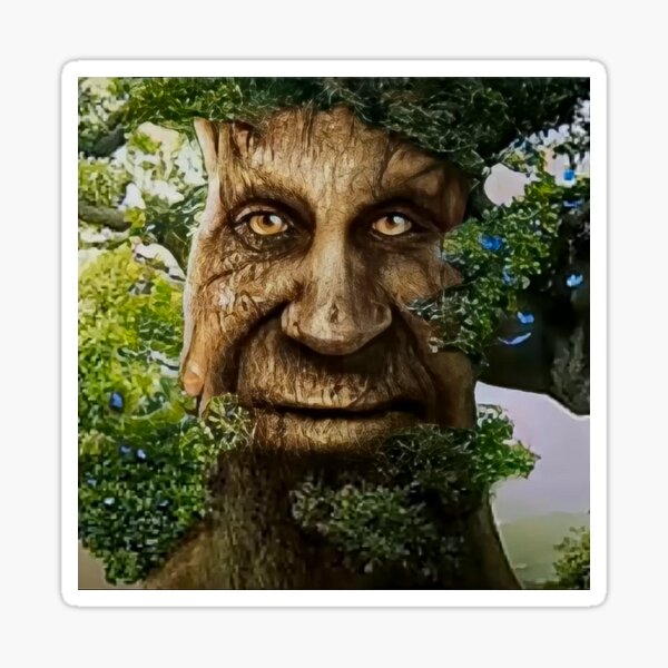 Wise Mystical Tree Face Old Mythical Oak Tree Funny Meme