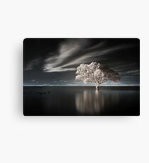 Tree in Water Canvas Print