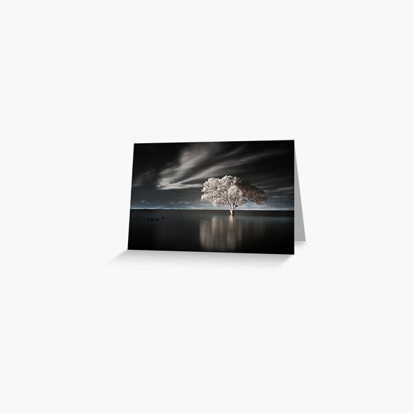 Tree in Water Greeting Card