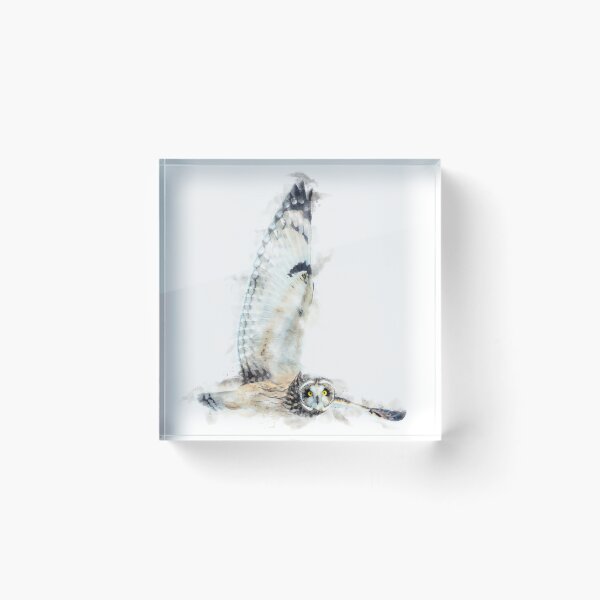 Item preview, Short-eared Owl Watercolour Artwork designed and sold by Typeglyphs.