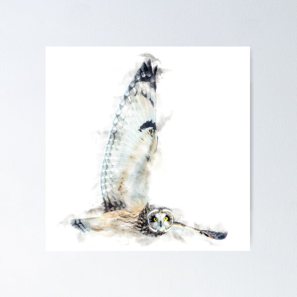 Item preview, Short-eared Owl Watercolour Artwork designed and sold by Typeglyphs.
