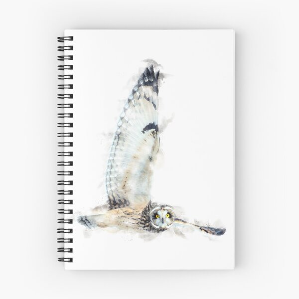 Item preview, Short-eared Owl Watercolour Artwork designed and sold by Typeglyphs.