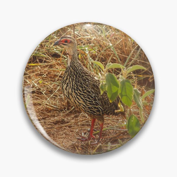 Item preview, Francolin! designed and sold by Numidiary.