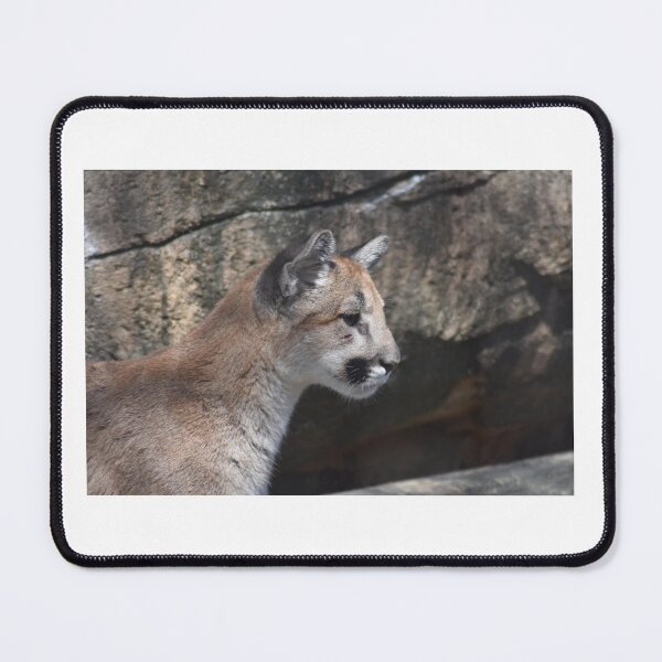 Item preview, Cougar Cub designed and sold by MarieDarcy97.