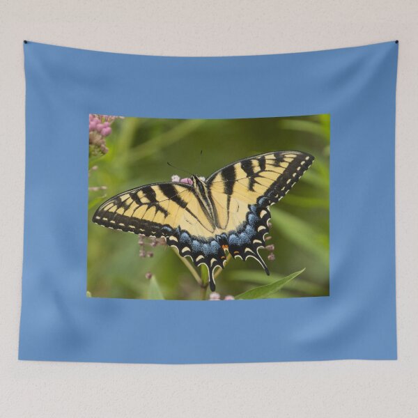 Item preview, Black swallowtail designed and sold by FlyingLilly.