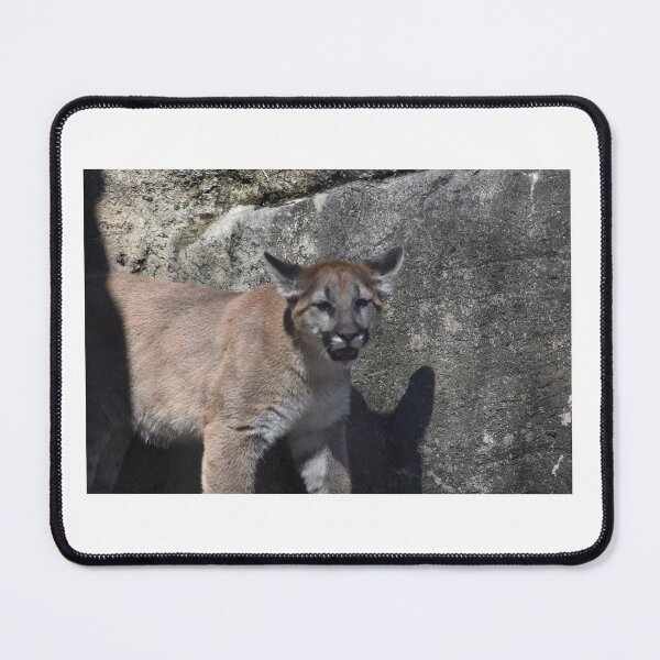 Item preview, Cougar Cub designed and sold by MarieDarcy97.