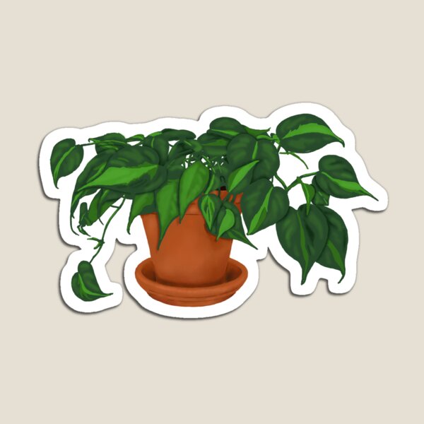 Artikel-Vorschau von Philodendron Brasilien, designt und verkauft von NicoleDowning.