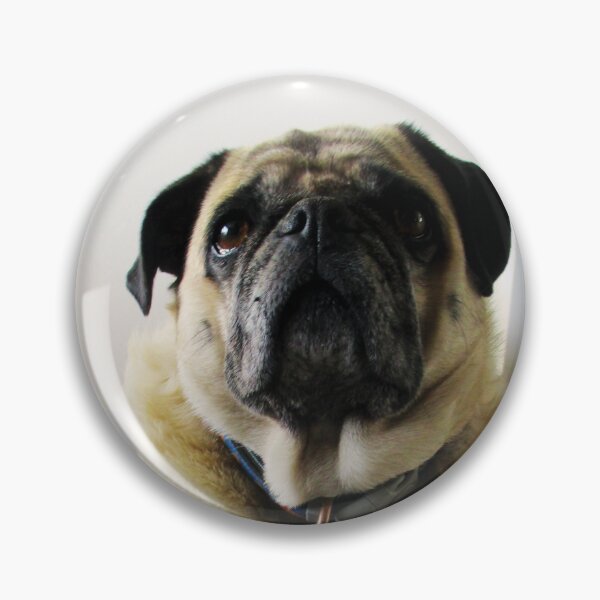 Item preview, Portrait of a Pug as an Old Woman designed and sold by SilentlyRob668.