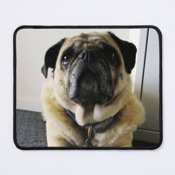 Item preview, Portrait of a Pug as an Old Woman designed and sold by SilentlyRob668.