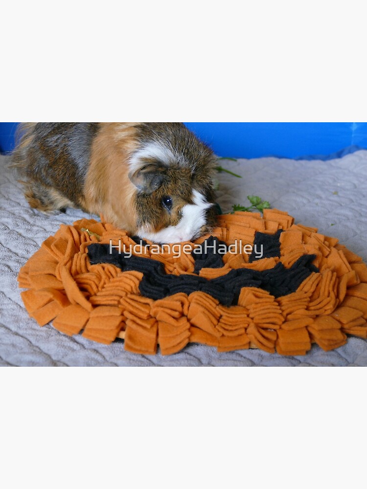 Marine Treasure Design Snuffle Mat for Dogs Pets Sniffing Durable