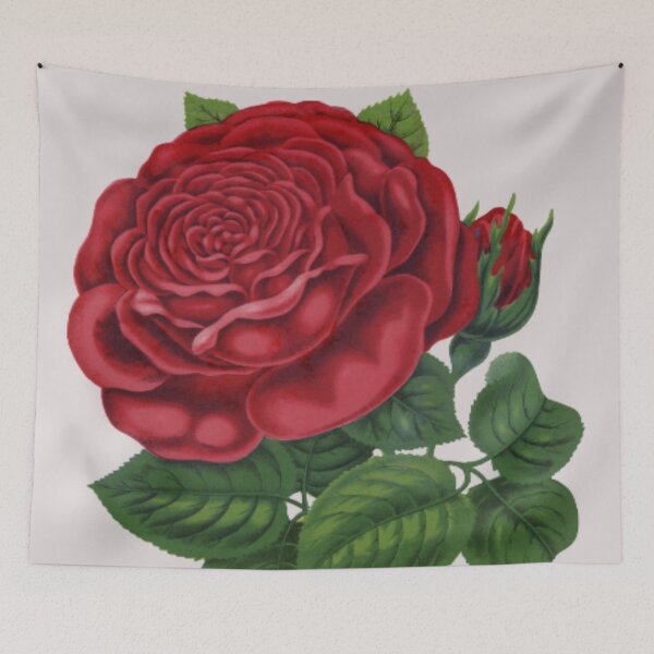 Item preview, Classic Red Rose designed and sold by ZinZoe.
