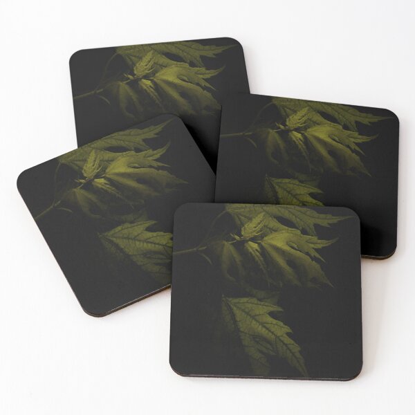 Item preview, Leaves In Shadow designed and sold by timdaytimages.