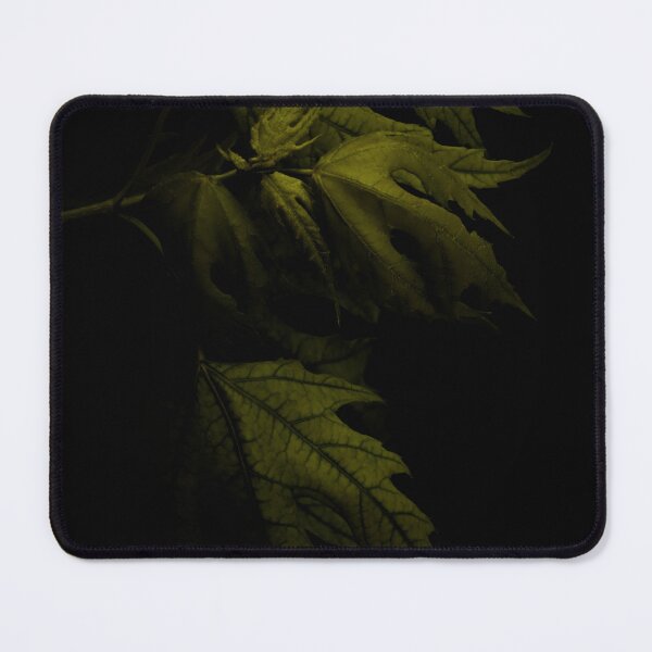 Item preview, Leaves In Shadow designed and sold by timdaytimages.