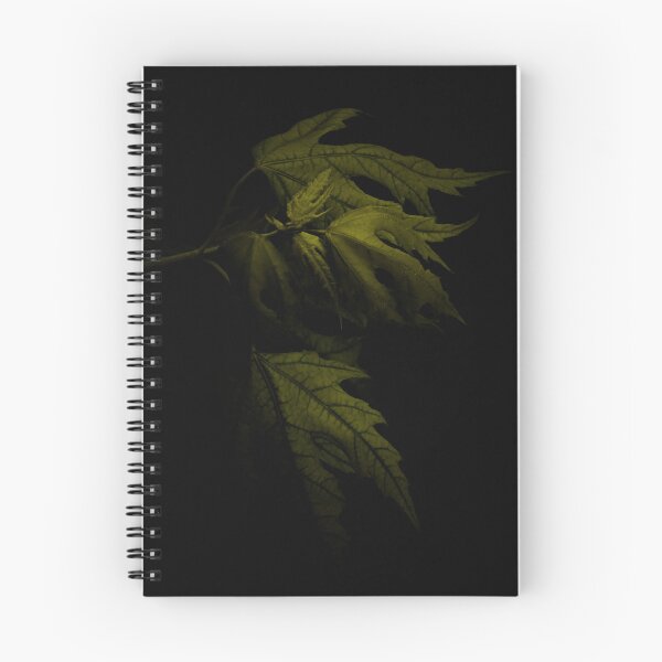 Item preview, Leaves In Shadow designed and sold by timdaytimages.