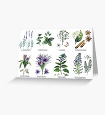 Watercolor botanical collection of herbs and spices Greeting Card