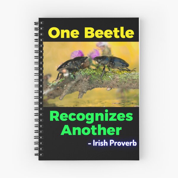 Item preview, Irish Proverb - One Beetle Recognizes Another designed and sold by IrishProverbs.