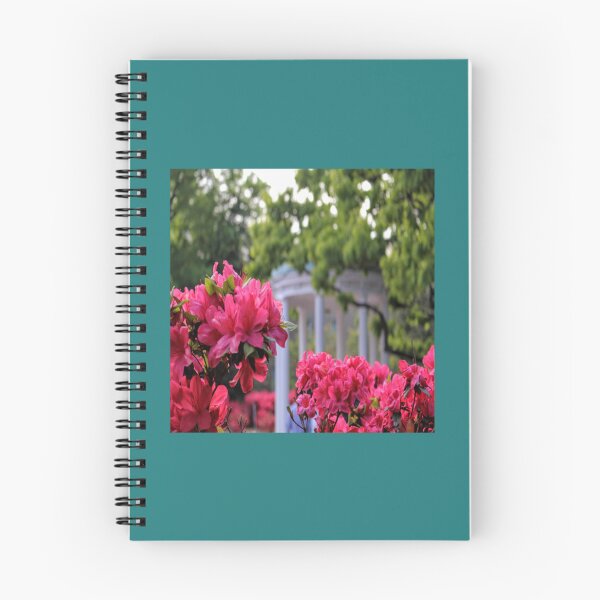 Item preview, chapel hill old well    designed and sold by AdreannaColyer.