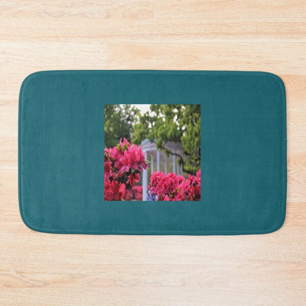 Item preview, chapel hill old well    designed and sold by AdreannaColyer.