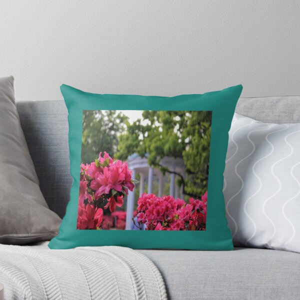 Item preview, chapel hill old well    designed and sold by AdreannaColyer.