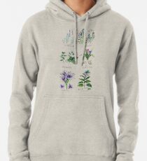 Botanische Sammlung des Aquarells Kräuter und Gewürze Hoodie