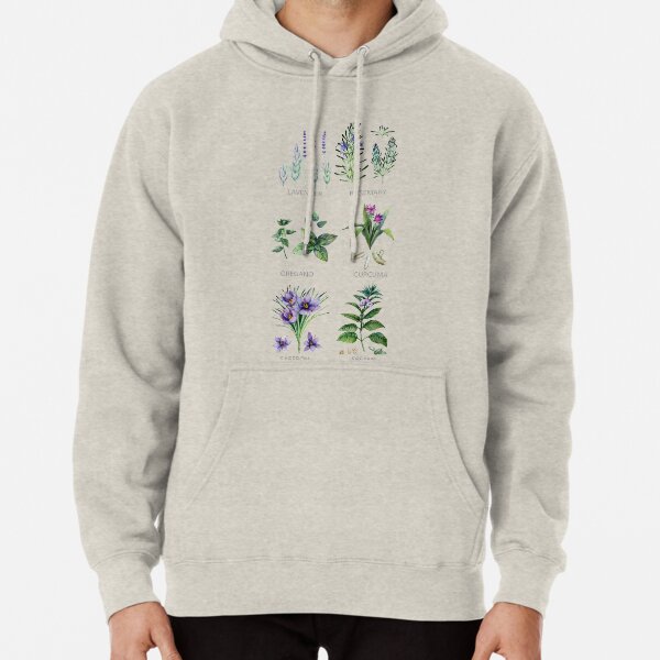Watercolor botanical collection of herbs and spices Pullover Hoodie