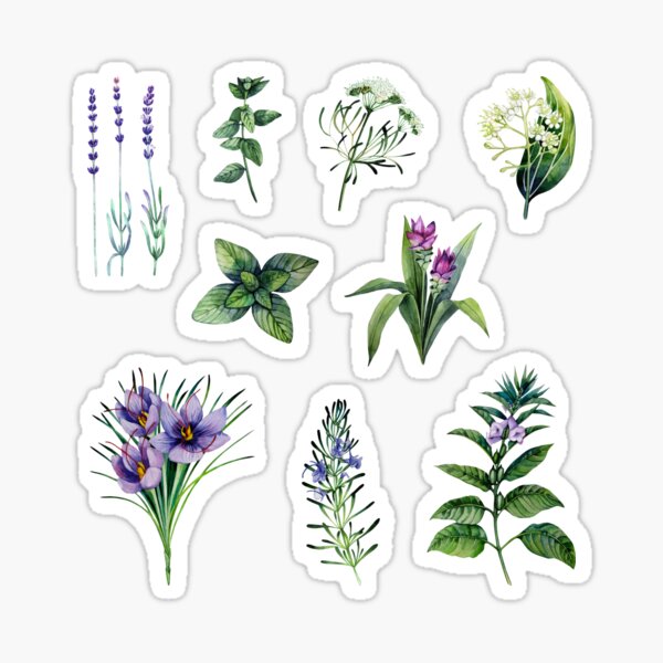 Vintage Botanical pack 3 Sticker for Sale by Ranp