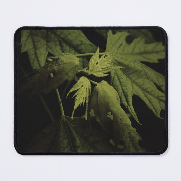 Item preview, Maple Leaves In Summer designed and sold by timdaytimages.