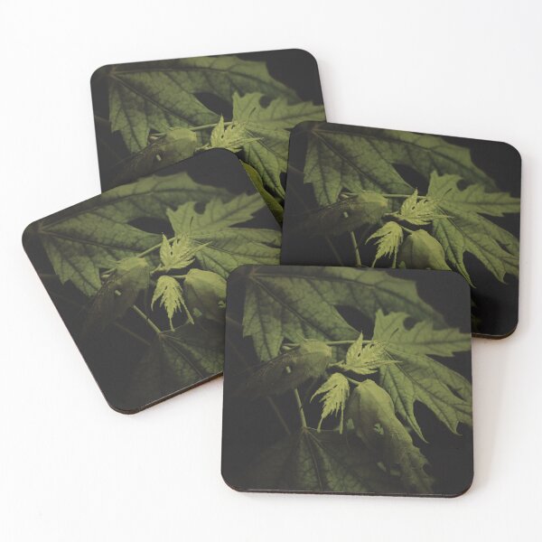 Item preview, Maple Leaves In Summer designed and sold by timdaytimages.