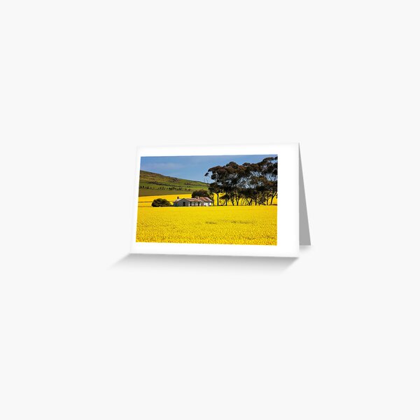 1732 Spring is here Greeting Card